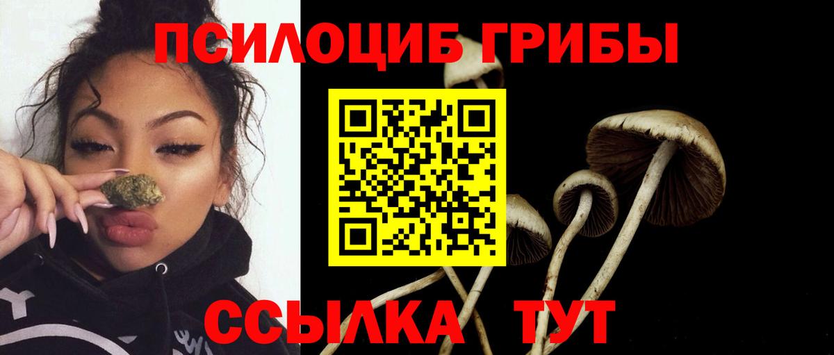 Псилоцибиновые грибы MAGIC MUSHROOMS Якутск